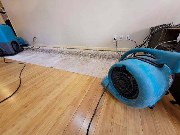 Professional Water Damage Repair technician working in Montgomeryville, PA